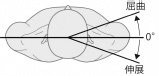 2JH00000225709.jpg