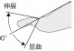 2JH00000225740.jpg