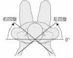 2JH00000225748.jpg