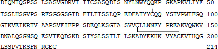 2JH00000227624.jpg