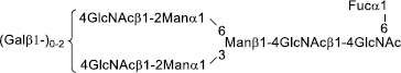 2JH00000227625.jpg