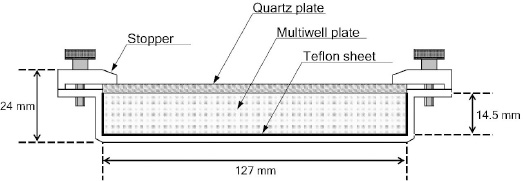2JH00000228144.jpg