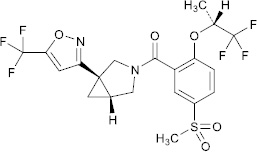 2JH00000228715.jpg