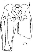 2JH00000233039.jpg