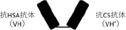 2JH00000243315.jpg