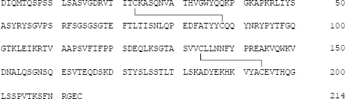 2JH00000243317.jpg