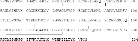 2JH00000243322.jpg