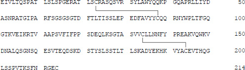 2JH00000243843.jpg