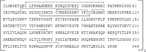2JH00000243845.jpg