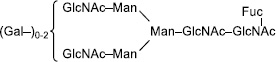 2JH00000243848.jpg