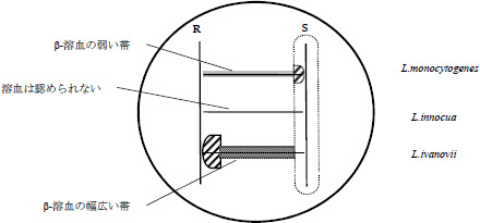 2JH00000215089.jpg