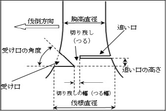 2JH00000027552.jpg