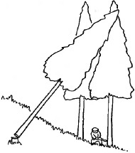 2JH00000027554.jpg