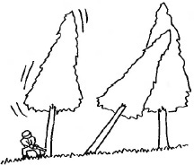 2JH00000027555.jpg