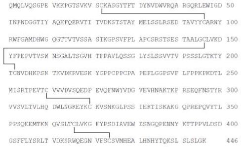 2JH00000234738.jpg