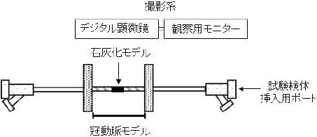 2JH00000235088.jpg