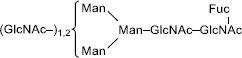 2JH00000244122.jpg