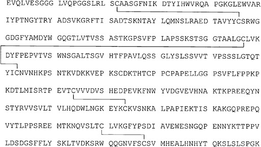 2JH00000026209.jpg