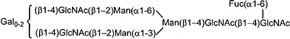 2JH00000026210.jpg