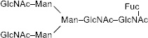2JH00000247458.jpg