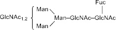 2JH00000247462.jpg