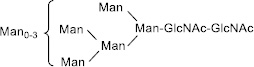 2JH00000247466.jpg