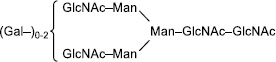 2JH00000247475.jpg
