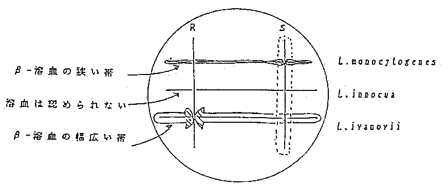 3JH00000000104.jpg