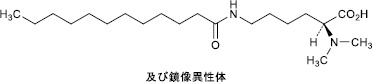 2JH00000249609.jpg