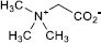 2JH00000249636.jpg