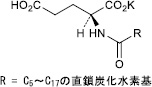 2JH00000249681.jpg