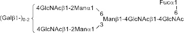 2JH00000227868.jpg