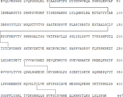 2JH00000227880.jpg