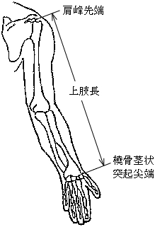 3JH00000000831.jpg