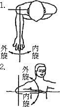 3JH00000002616.jpg