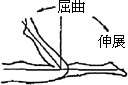 3JH00000002633.jpg