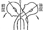 3JH00000002667.jpg