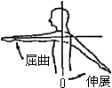 3JH00000002673.jpg