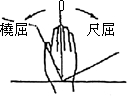 3JH00000002679.jpg