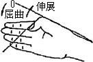 3JH00000002683.jpg