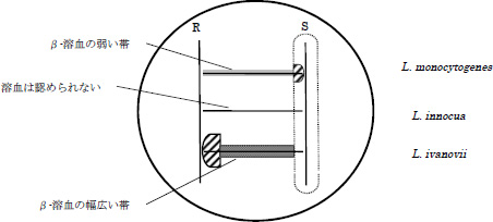 2JH00000215091.jpg