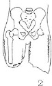 2JH00000241254.jpg