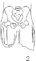 2JH00000241265.jpg