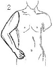 2JH00000241288.jpg