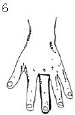 2JH00000241292.jpg
