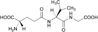 2JH00000241898.jpg