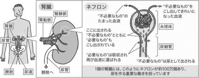 2JH00000128740.jpg