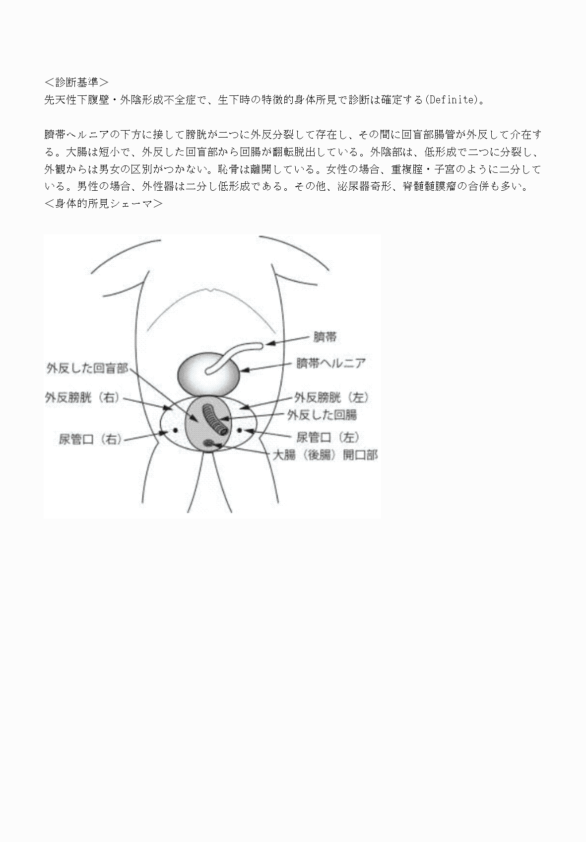 2FH00000070825-3.png
