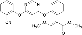 2JH00000241627.jpg