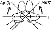 3JH00000001178.jpg